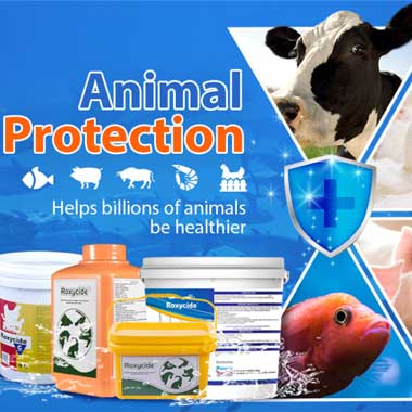 Przemysł dezynfekcji zwierząt z produktami dezynfekcyjnymi